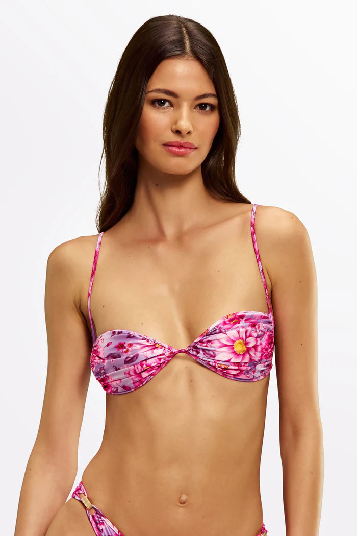 Ana Top - AZELEA