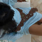 Babe Mini Dress - Mint