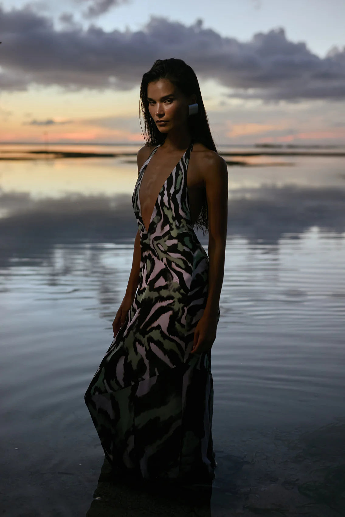 Leni Maxi Dress - Zebra