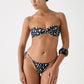 Rhea Bottom - Dalmation